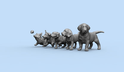 1/35 - 1/6 5pcs 3D Print Model Kit Animal Dogs Pets Puppies Unpainted