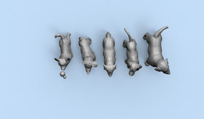 1/35 - 1/6 5pcs 3D Print Model Kit Animal Dogs Pets Puppies Unpainted