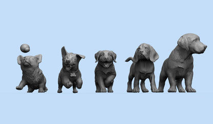 1/35 - 1/6 5pcs 3D Print Model Kit Animal Dogs Pets Puppies Unpainted