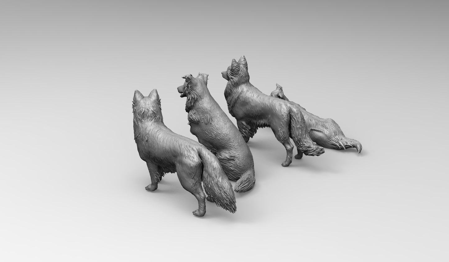 1/35 - 1/6 4pcs 3D Print Model Kit Animal Dogs Pets Border Collie Unpainted