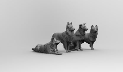 1/35 - 1/6 4pcs 3D Print Model Kit Animal Dogs Pets Border Collie Unpainted