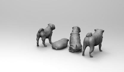 1/35 - 1/6 4pcs 3D Print Model Kit Animal Dogs Pets Pugs Unpainted