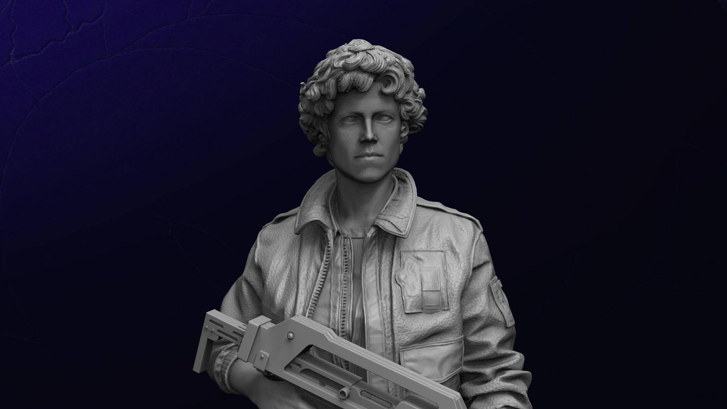 1/35 - 1/12 3D Print Model Kit Alien Beautiful Girls Space Soldiers Unpainted