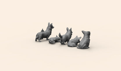1/35 - 1/6 6pcs 3D Print Model Kit Animal Dogs Pets Welsh Corgi Unpainted