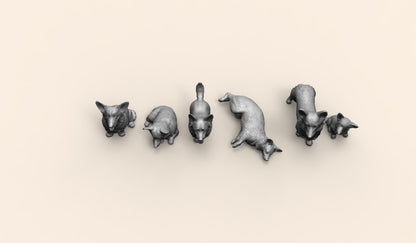 1/35 - 1/6 6pcs 3D Print Model Kit Animal Dogs Pets Welsh Corgi Unpainted