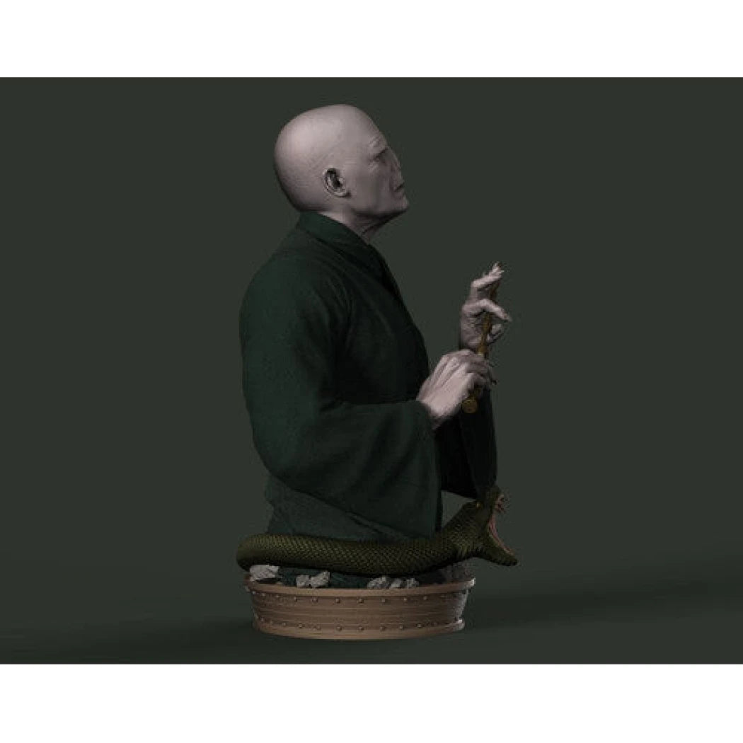 Digital STL Voldemort Bust