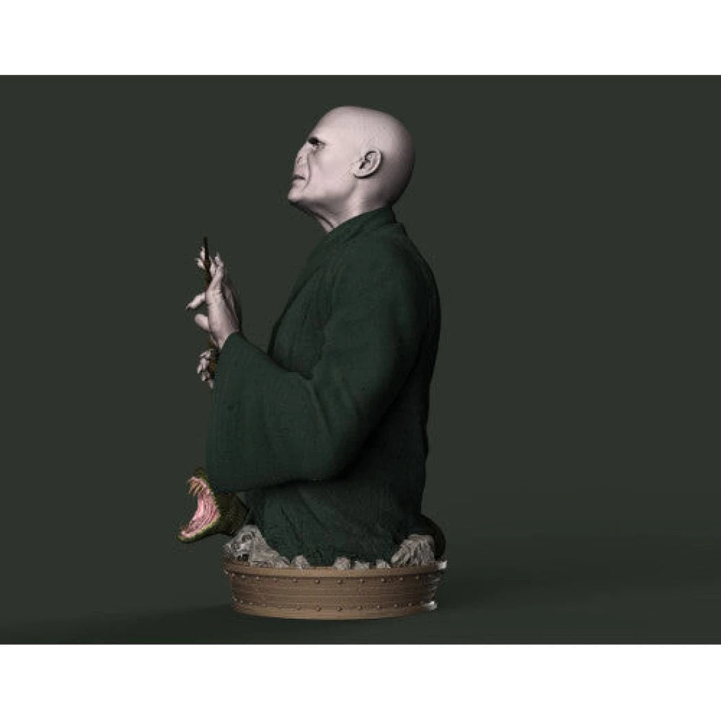 Digital STL Voldemort Bust